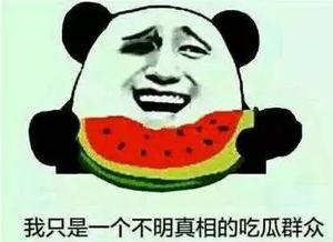 群众吃瓜打一名词,揭秘娱乐圈幕后风云