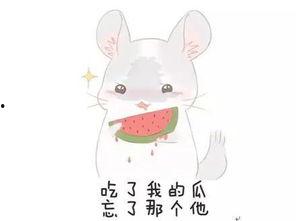 大瓜头吃屁,一场爆笑的美食冒险之旅