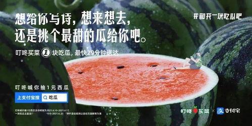 学校的吃瓜文案,揭秘校园里的那些事儿